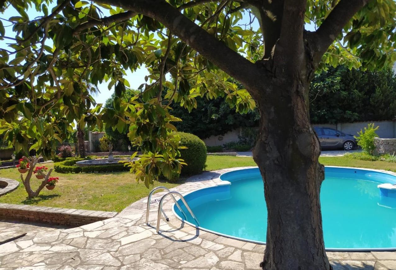 Leisure House Jovovic Villa บาร์ ภายนอก รูปภาพ